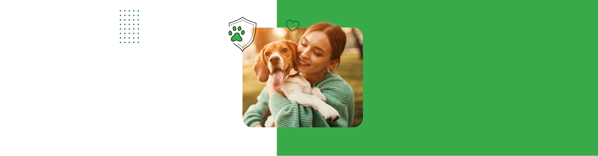 Conheça o Petlove, o plano de saúde que oferece desconto ao associado e garante o cuidado do seu pet