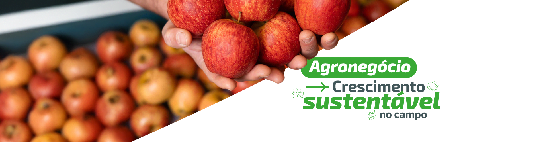 Crescimento sustentável que gera impacto no agronegócio