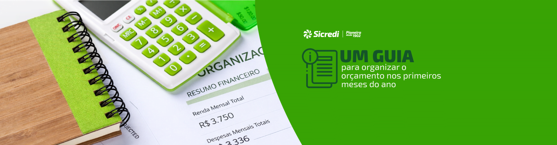 Organização financeira: dicas para um início de ano mais tranquilo