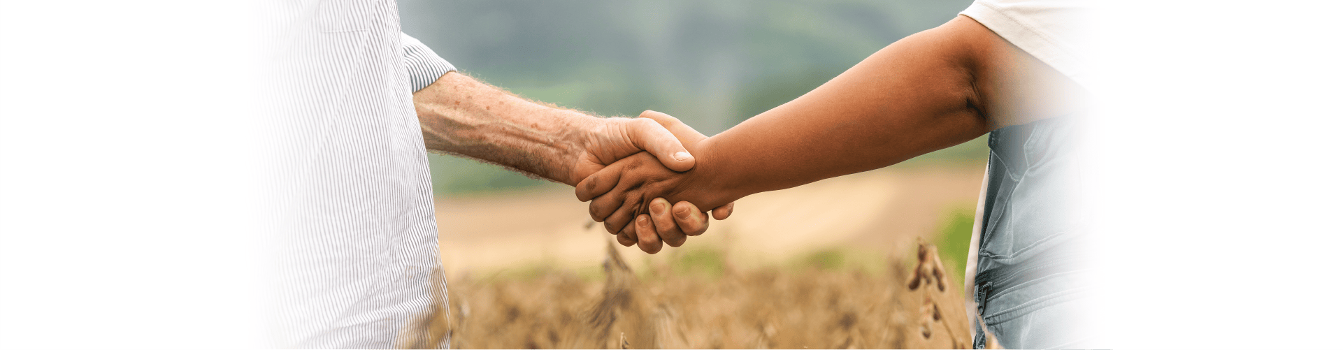 Parceria: na Pioneira, associado agro conta com soluções gratuitas da startup Elysios